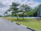 Land For Sale - Wadduwa