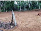 Land for sale - Wadduwa Moronthuduwa