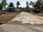 Land for sale wadduwa Thalpitiya T01