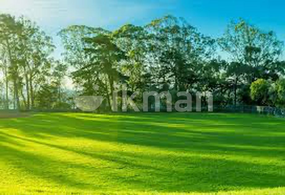 Land for Sale Waga ikman.lk