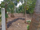 Land for Sale Waikkal