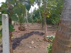 Land for Sale Waikkala