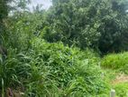 Land For Sale Walakanda Hakmana