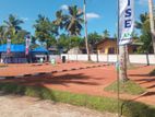 Land for Sale Walana
