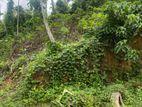 Land For Sale Walasmulla (10014sm)