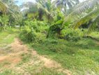 Land for Sale Walasmulla