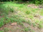 Land For Sale Walgama