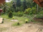 Land For Sale Walgama Mathara
