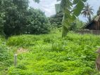 Land For Sale Walgama Mathara