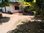 Land For Sale Walgama Mathara