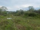 Land For Sale Walgama Mathara
