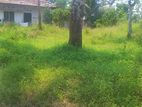 Land for Sale Walipillewa