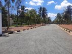 Land for Sale Walpita Divulapitiya