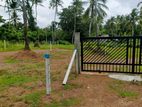 Land for Sale Walpita