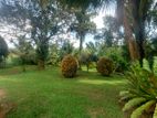 Land for Sale Waragoda Estate Kelaniya ( ID : KL07A )