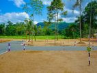 Land for Sale - Warakapola SE 001