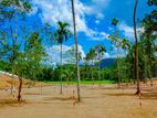 Land for Sale - Warakapola TR 027