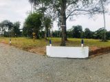 Land for Sale Warapalana