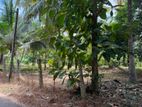 Land For Sale Wariyapola