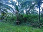 Land for Sale Wariyapola, Galagedara, Next to Silver Crown Hotel