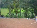 Land for Sale Watareka