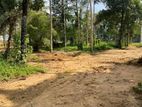 Land for Sale – Watareka, Padukka