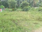 Land for Sale Wathupitiwala