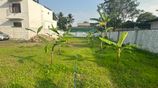 Land for Sale Wattala