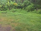Land for Sale Wattala