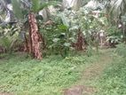 Land for sale - wattala Hunupitiya