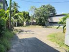 Land for Sale - Wattala (#ls2002)