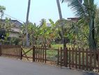 Land for Sale Wattala, Palliyawatta