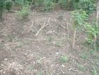 Land for Sale - Wattegama,Yatawara