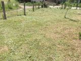 Land for Sale Weboda