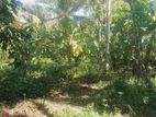 Land for Sale Weligama