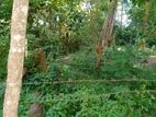 Land for Sale Weligama