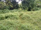 Land For Sale Weligama Midigama