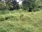 Land For Sale Weligama Midigama