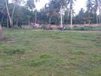 Land for sale weligama polwatta