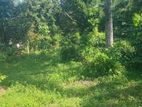 Land For Sale Weligama Welipitiya