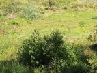 Land for Sale Welimada - Boralanda