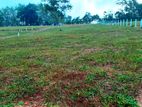 Land for Sale Welipenna, Aluthgama