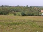 Land for Sale Welipenna, Aluthgama