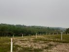 Land for Sale Welipenna, Aluthgama