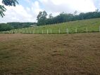 Land for Sale Welipenna