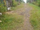 Land For Sale Weliveriya