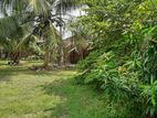 Land For Sale Weliwala