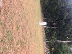 Land for sale Weliweriya 14.2 Lot No 06