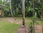 Land for sale weliweriya