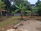 Land for Sale - Wellampitiya